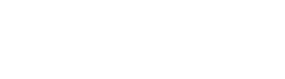 Make-A-Wish Logo